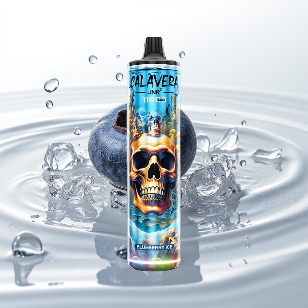 JNR Calavera 11000 Puffs Wegwerp Vape Blauwe Bes IJs Type-C 850mAh 21ml
