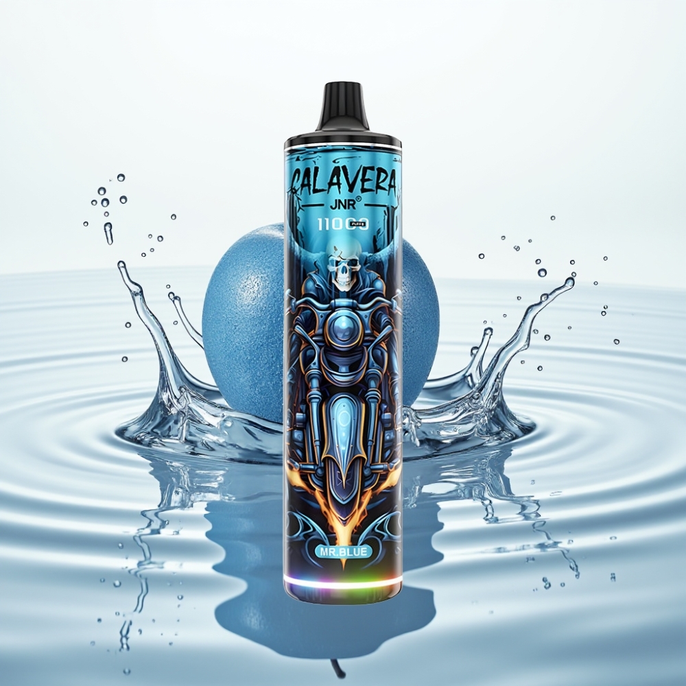 JNR Calavera 11000 Puffs Wegwerp Vape Type-C 850mAh 21ml Mr Blauw