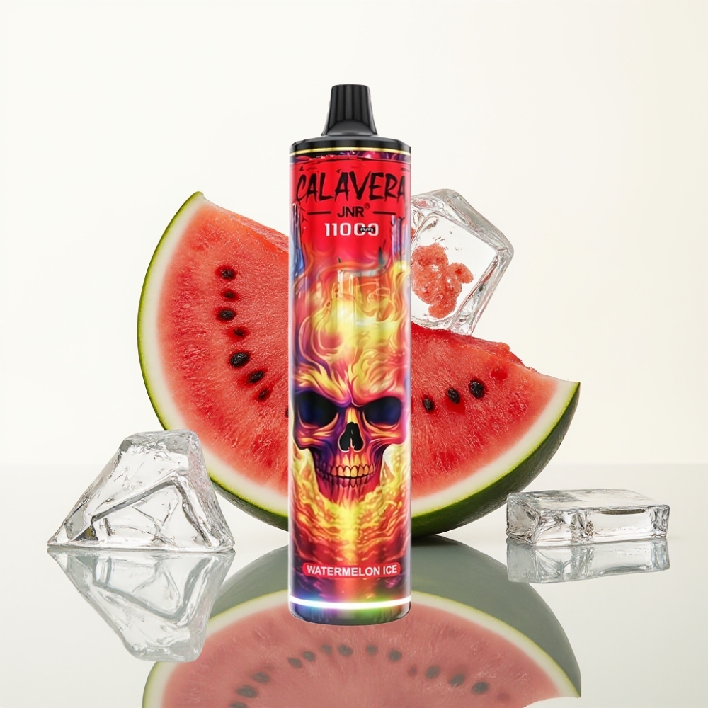 JNR Calavera 11000 Puffs Wegwerp Vape Watermeloen Ijs Type-C 850mAh 21ml