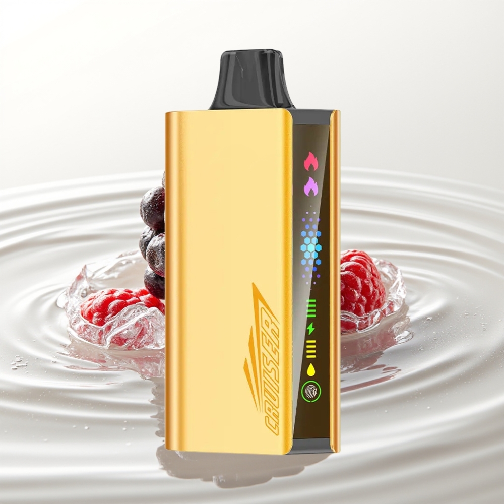 JNR Cruiser 12000 Puffs No-Charge Wegwerp Vape Blackberry Ijs