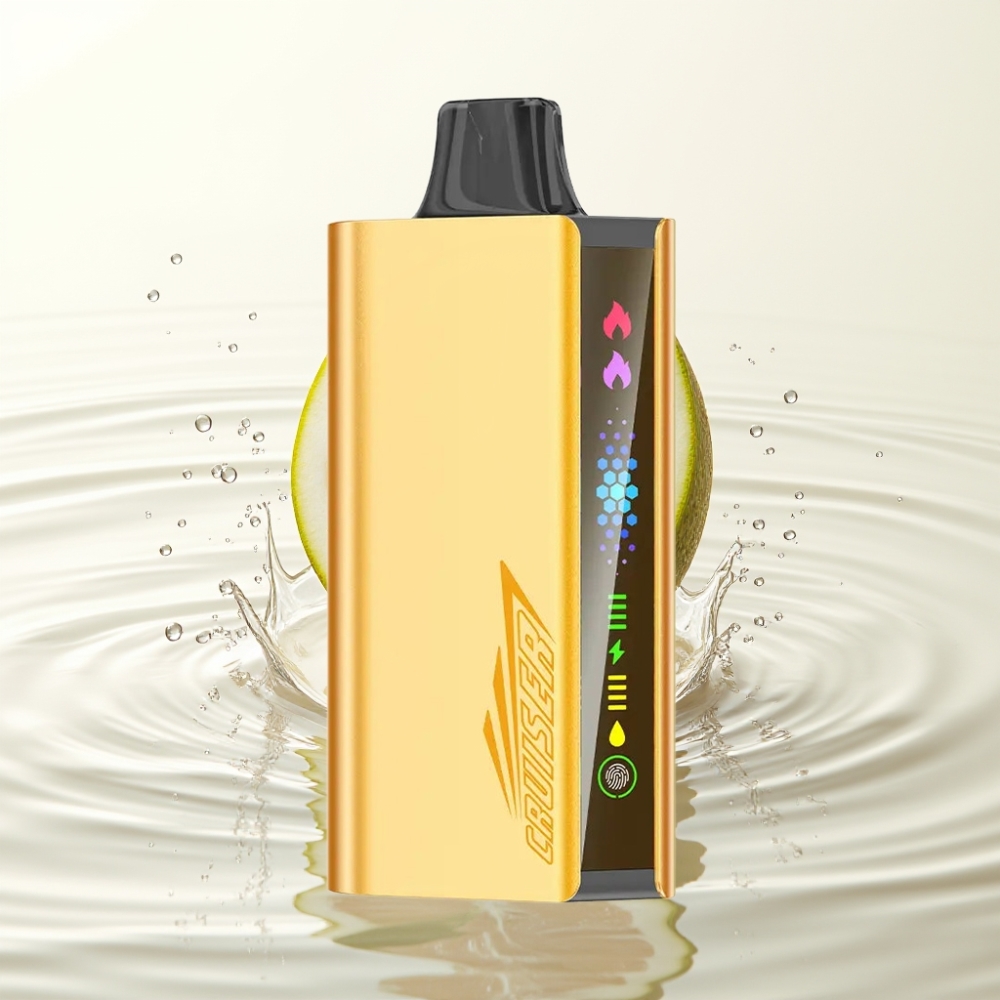 JNR Cruiser 12000 Puffs No-Charge Wegwerp Vape Koel Munt Met 3500 mAh Battery & Animation Display