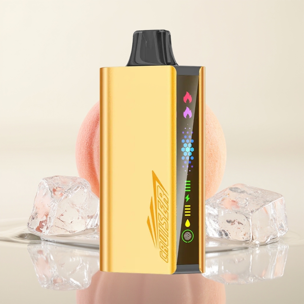 JNR Cruiser 12000 Puffs No-Charge Wegwerp Vape Perzijs IJs met 3500 mAh Battery & Dual Mesh Coil