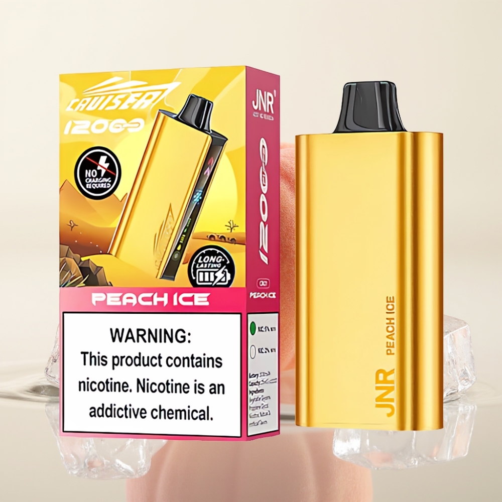 JNR Cruiser 12000 Puffs No-Charge Wegwerp Vape Perzijs IJs met 3500 mAh Battery & Dual Mesh Coil