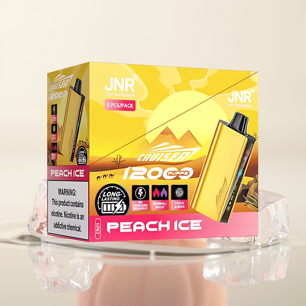JNR Cruiser 12000 Puffs No-Charge Wegwerp Vape Perzijs IJs met 3500 mAh Battery & Dual Mesh Coil