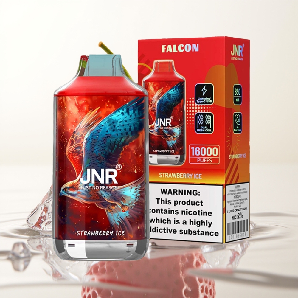 JNR Falcon 16000 Puffs 22ml Dual Mesh Aardbei IJs Type C & LED