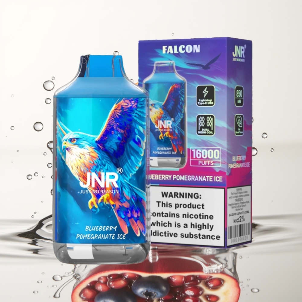 JNR Falcon 16000 Puffs 850mAh 22ml Dual Mesh Coil Blauwe Bes Granaatappel IJs