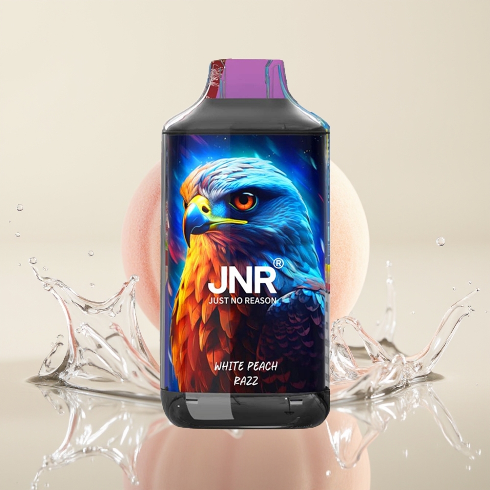 JNR Falcon 16000 Puffs 850mAh 22ml Dual Mesh Coil Witperzik Razz