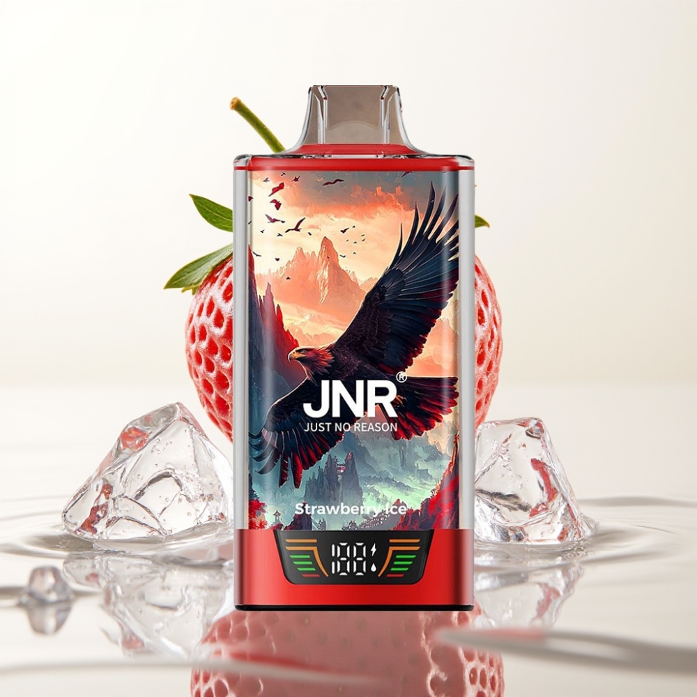 JNR Falcon Pro 28000 30ml 5% Aardbei IJs Smart Display Dual Mesh USB-C MTL