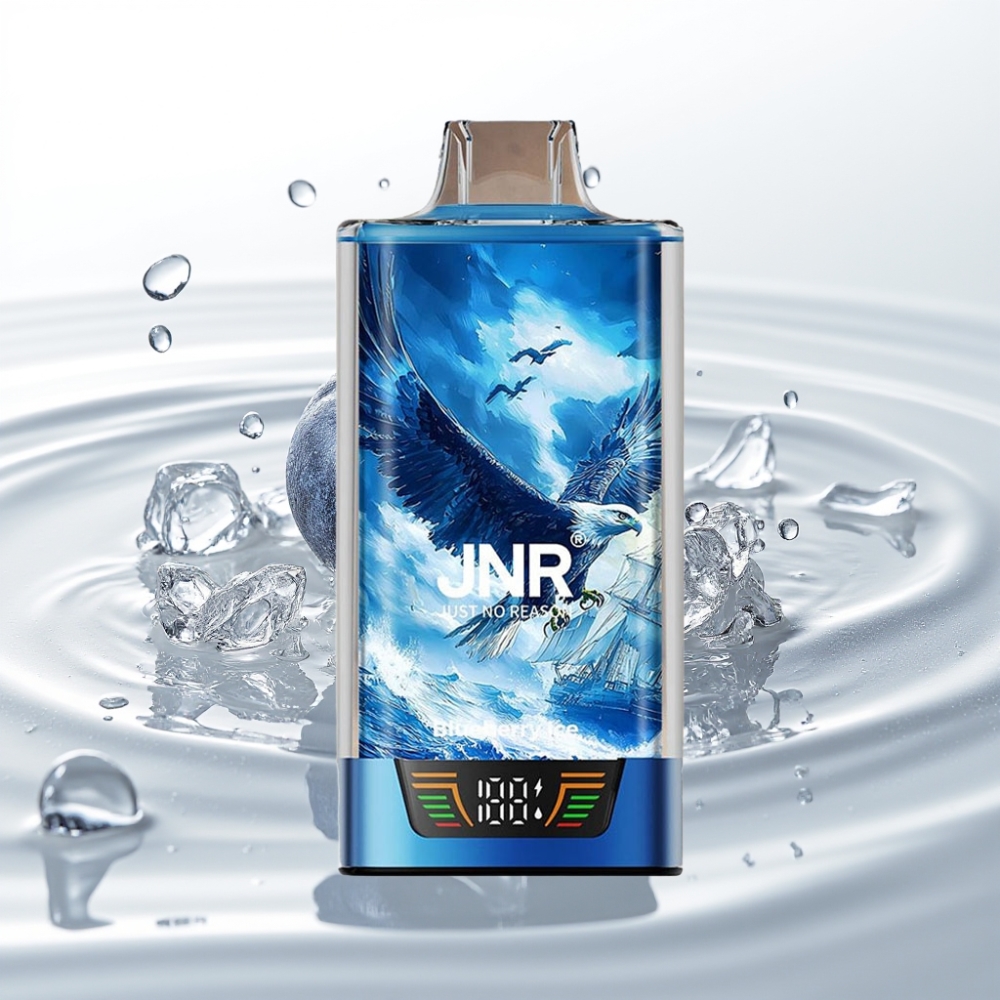 JNR Falcon Pro 28000 Wegwerp Vape 30ml 950mAh 5% Smart Display Blauwe Bes Ijs