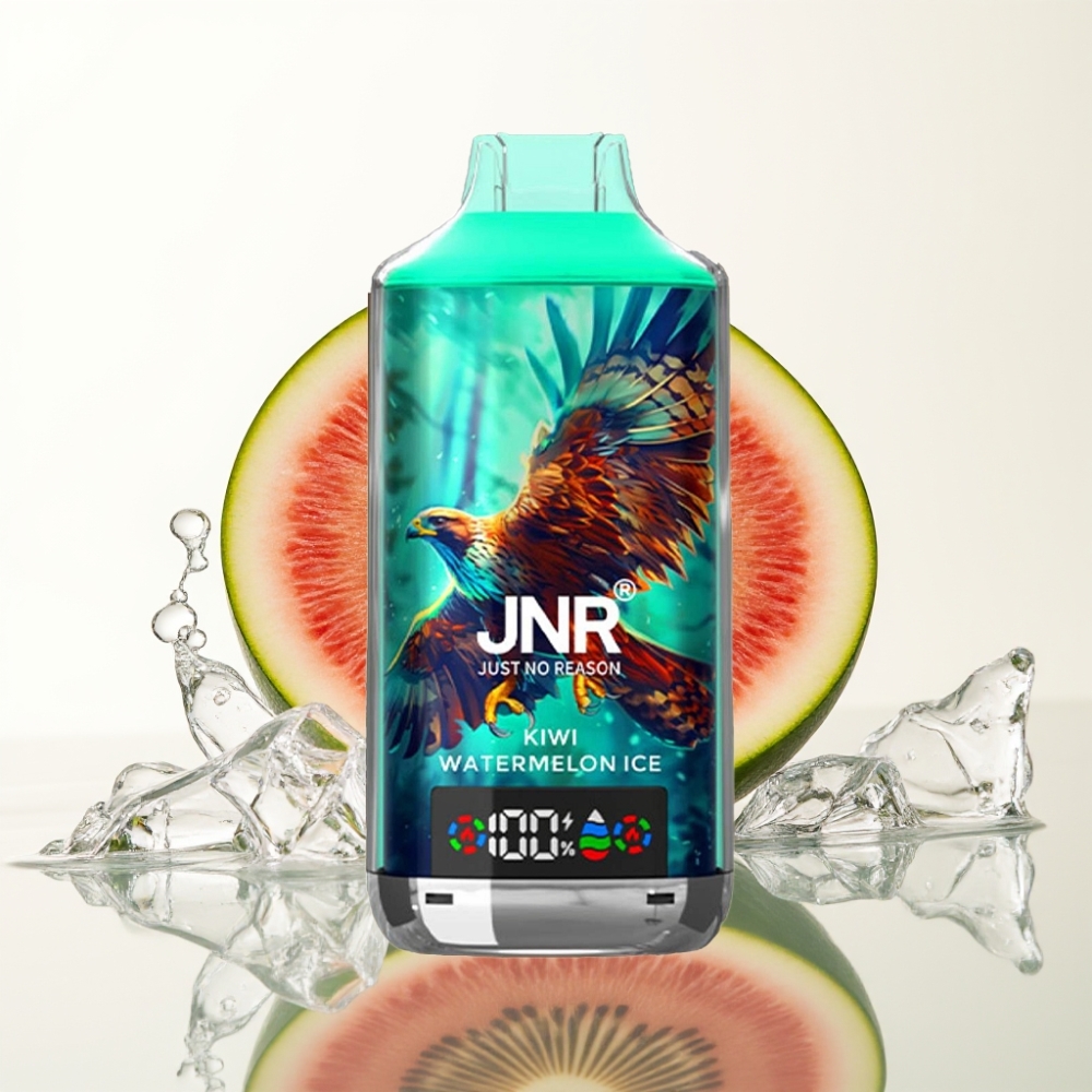 JNR Falcon X 18000 Puffs 24ml Kiwi Watermelon ijs Dual Mesh Coil Type-C