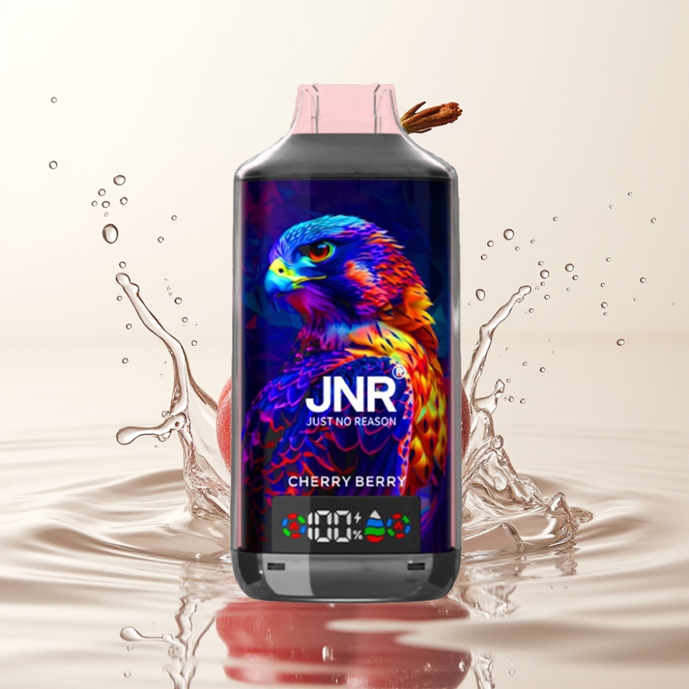 JNR Falcon X 18000 Puffs Dual Mesh Coil Type-C Kers Bes