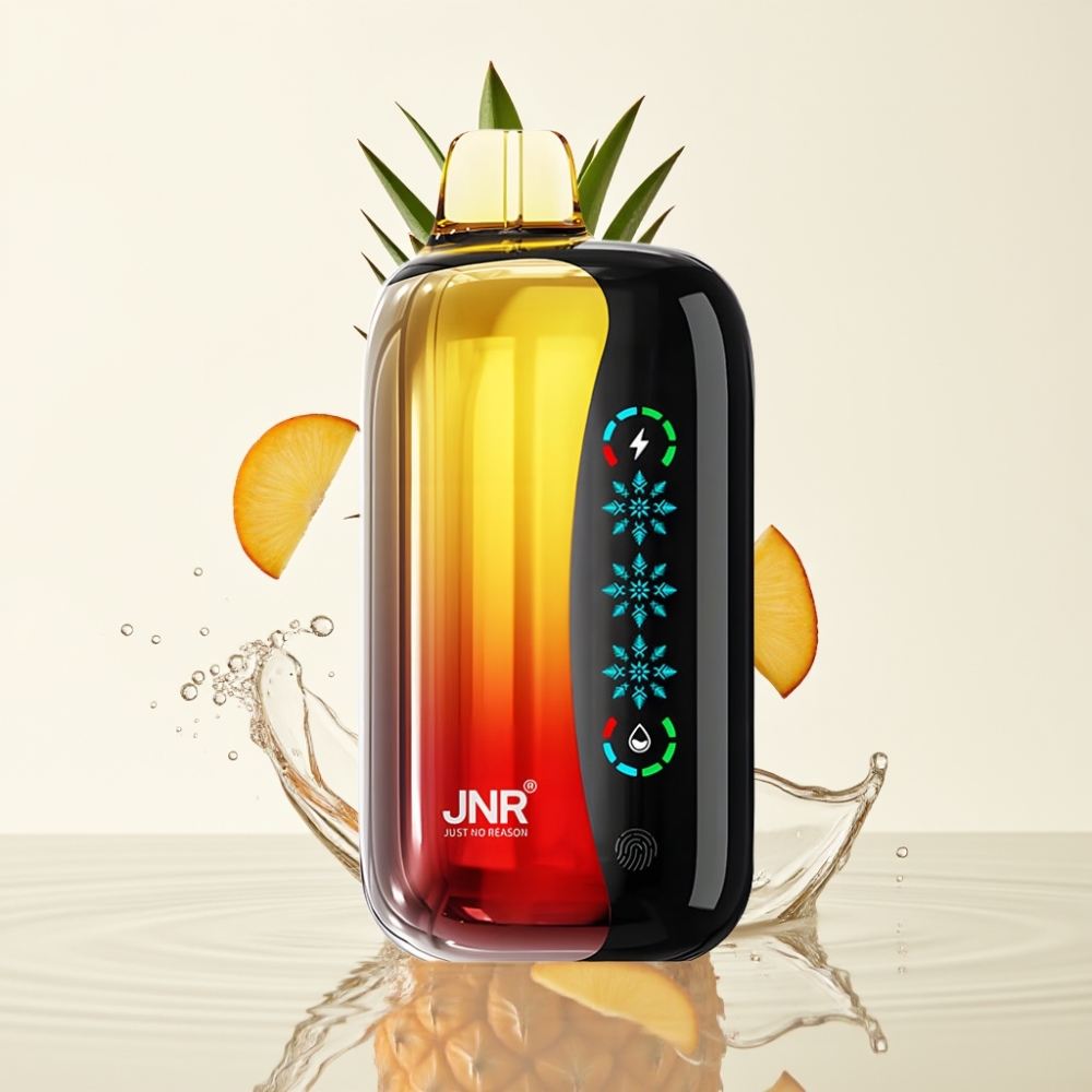 JNR Flex Ice 21000 Puffs Wegwerp Vape Peach Mango Ananas Aanpasbare IJs Touchscreen