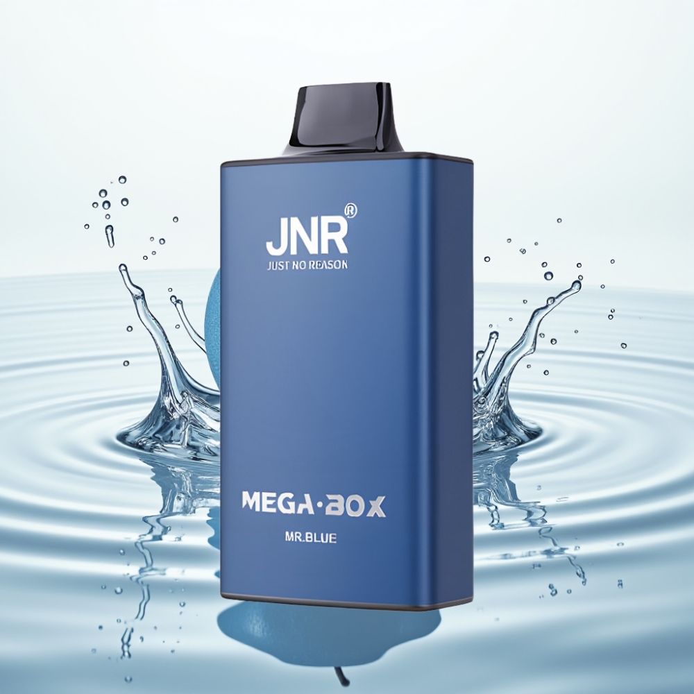 JNR Mega Box 25000 Puffs Wegwerp Vape 30ml Dual Mesh 850mAh Heer Blauw