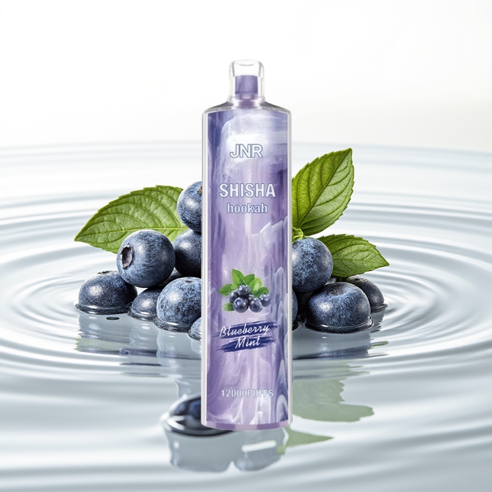 JNR Shisha Hookah 12000 Puffs 24ml Blueberry Mint Wegwerp Vape