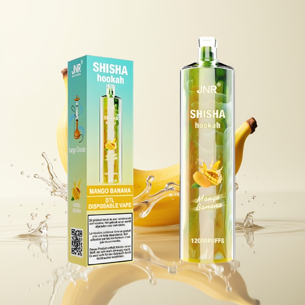 JNR Shisha Hookah 12000 Puffs 24ml Mango Banaan Type-C 750mAh