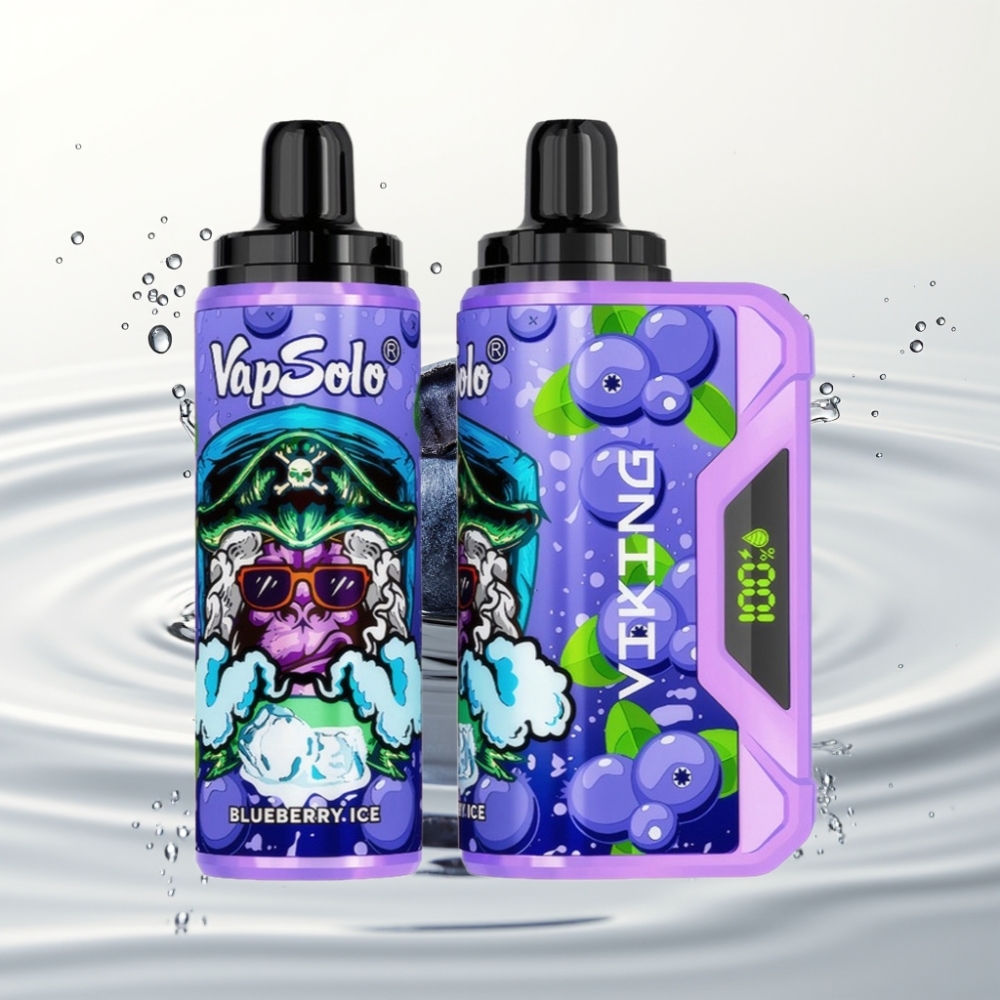 VapSolo VIKING 12000 Puffs 22ml Blauwe Bes Type-C LED Display