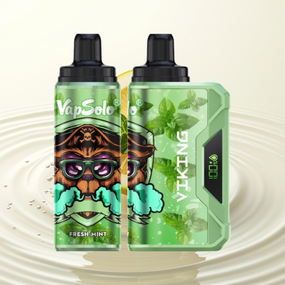 VapSolo VIKING 12000 Puffs Wegwerp Vape 22ml Vers Munt Type-C LED Display